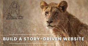 Safari Promotion Strategies